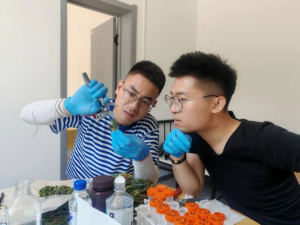 吉林森工红石林业有限公司